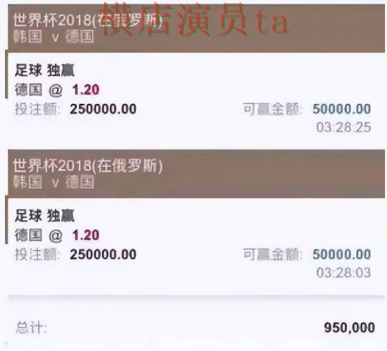 世界杯赛事中心来临，世界杯投注网站大全玩法指南与平台选择实测对比